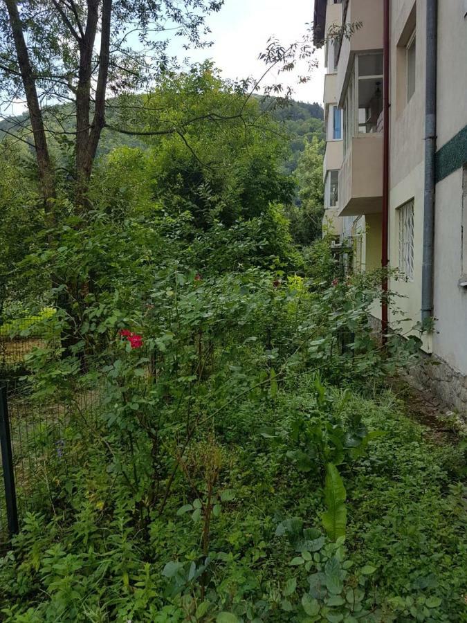 Premium Apartment Sinaia Eksteriør billede